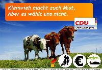 CDU-Wähler sind also noch blöder als Kleinvieh. Typisch Stimmvieh eben.