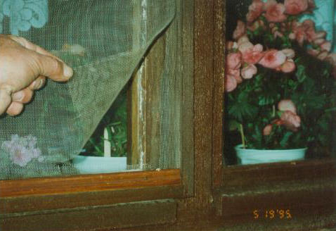 Fensterschaden